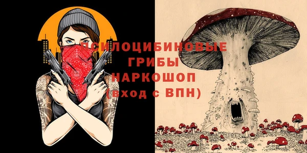 a pvp Белокуриха