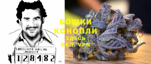 a pvp Белокуриха