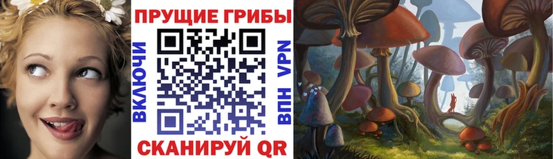 Псилоцибиновые грибы Magic Shrooms  Куйбышев 